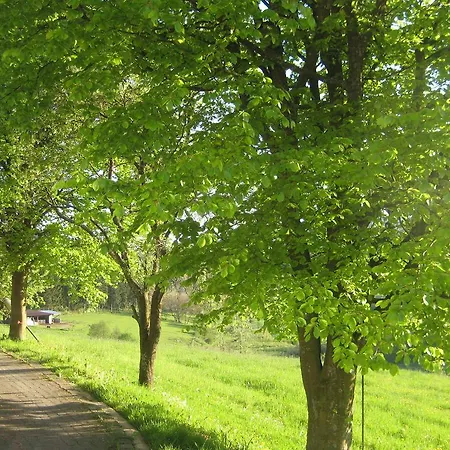 In Kirchhundem In The Middle Of Nature Appartement